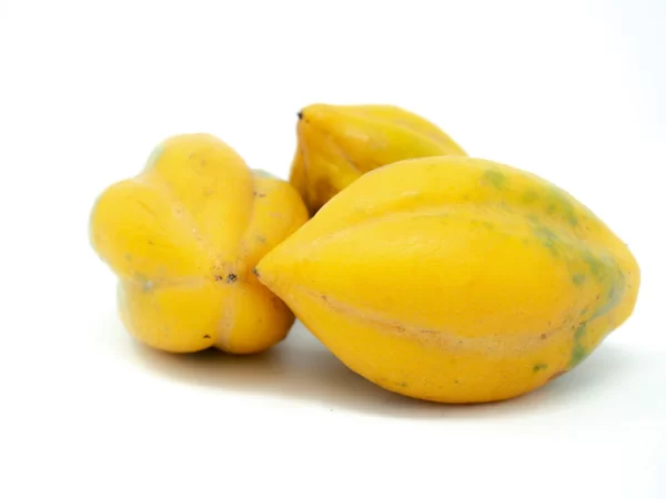 PAPAYUELA