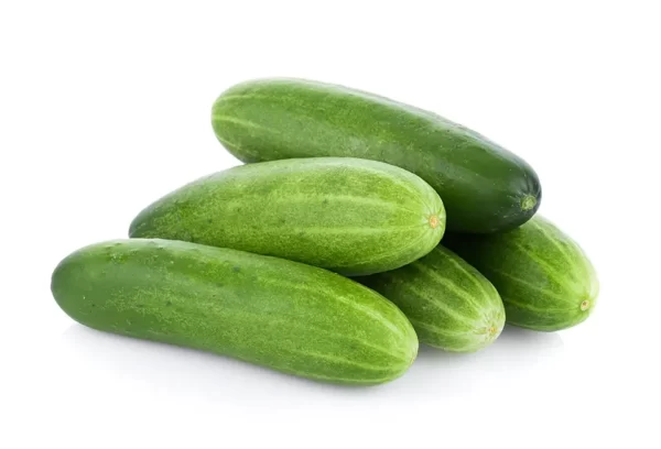 PEPINO COHOMBRO