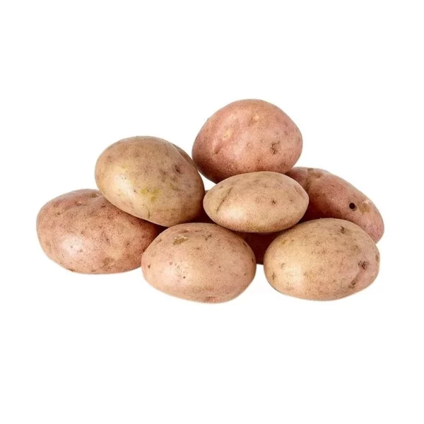 PAPA CAPIRA BOLSA