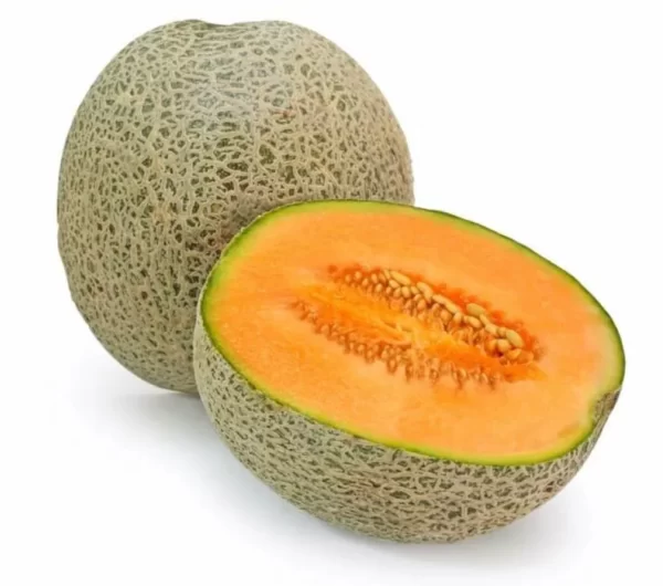 MELON (INS PANADERIA)